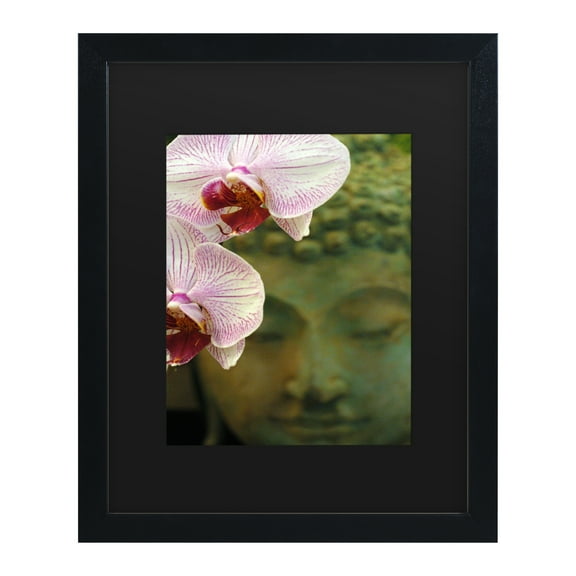 Trademark Fine Art 'Orchids and Buddha' Canvas Art by Kurt Shaffer