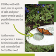 thumbnail image 4 of Butterfly Puddling Stone, 4 of 7