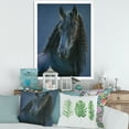 thumbnail image 3 of Designart 'Frisian Black Horse Portrait' Farmhouse Framed Art Print, 3 of 4