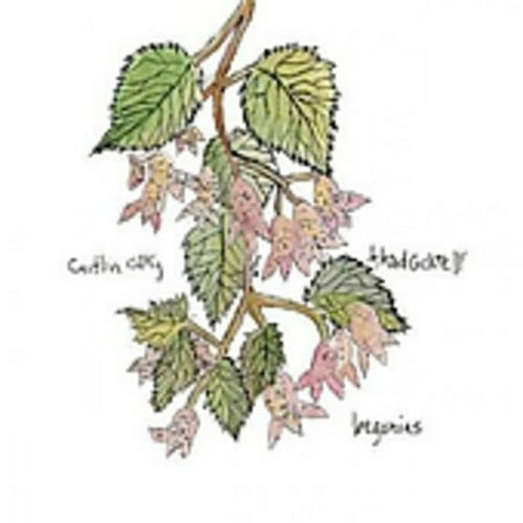 Caitlin Cary - Begonias - Alternative - CD