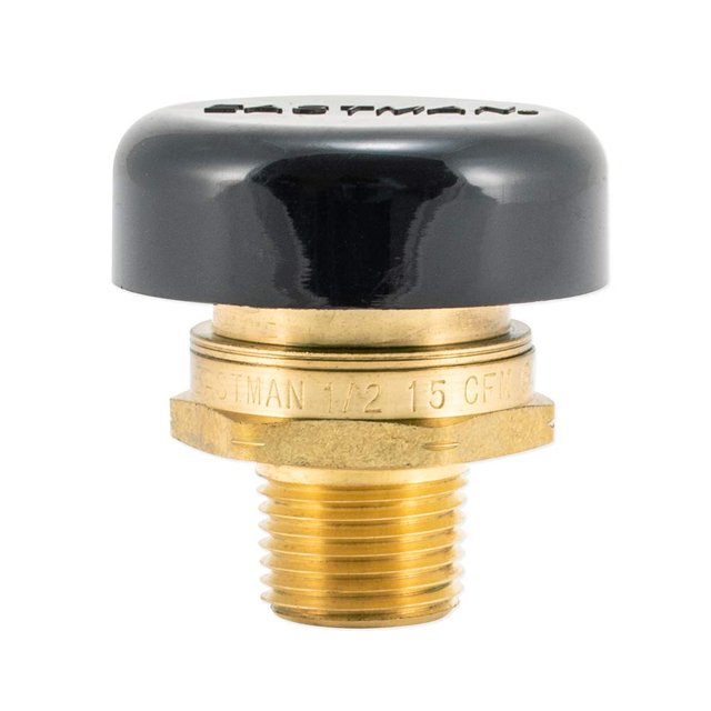 Válvula de alivio de vacío Eastman de 1/2 pulgada, latón MIP 60156
