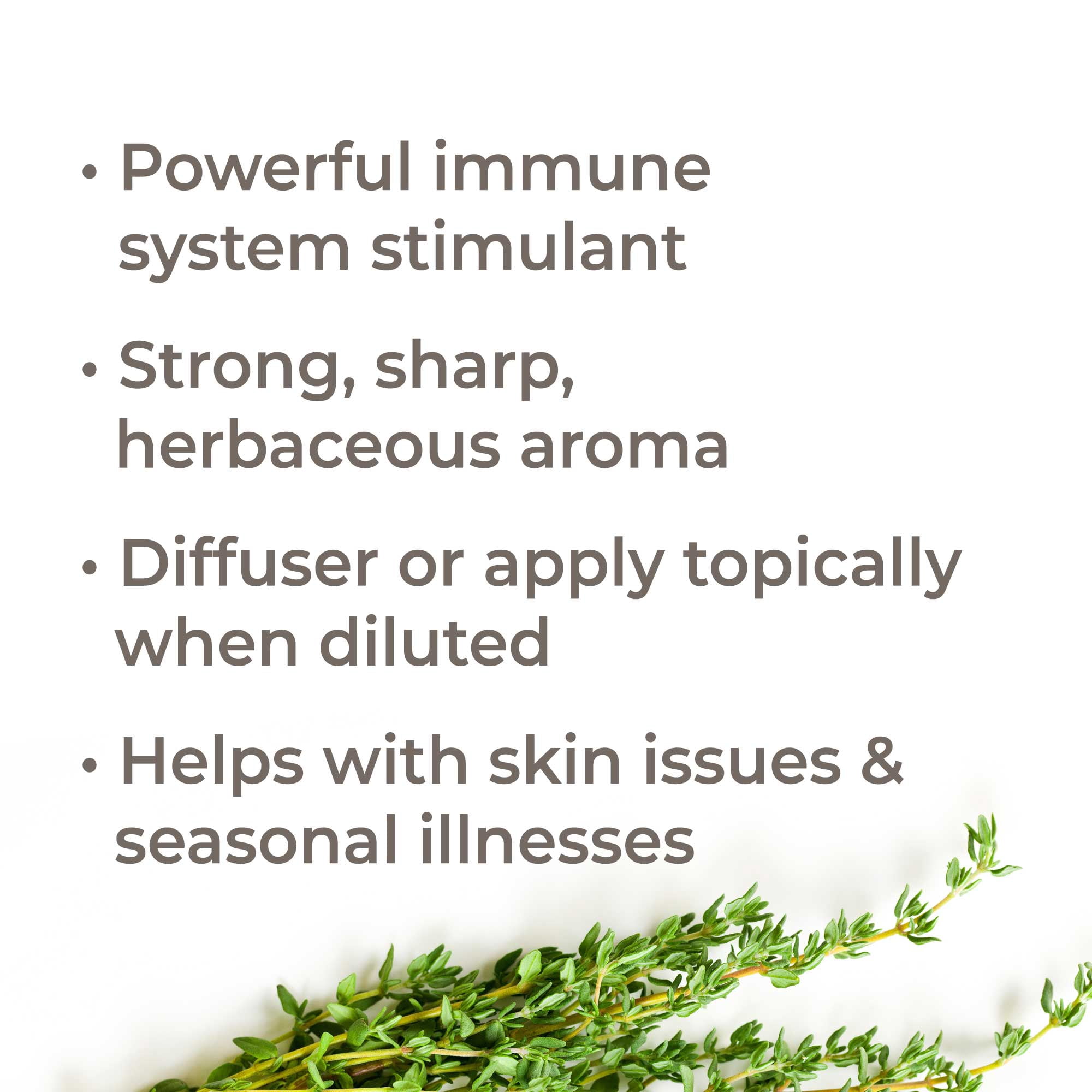 Plant Therapy Thyme Thymol Essential Oil | 100% Pure, Undiluted, Natural Aromatherapy, Therapeutic Grade | 100 mL