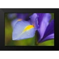 thumbnail image 2 of Schell, Jennie Marie 14x11 Black Modern Framed Museum Art Print Titled - Purple Dutch Iris Flower, 2 of 5