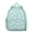 Greenish-blue-41, variant on Kawaii Alpaca Student Backpack – Cute Llama Cartoon Pattern with Adorable Design, Lightweight and Durable for School