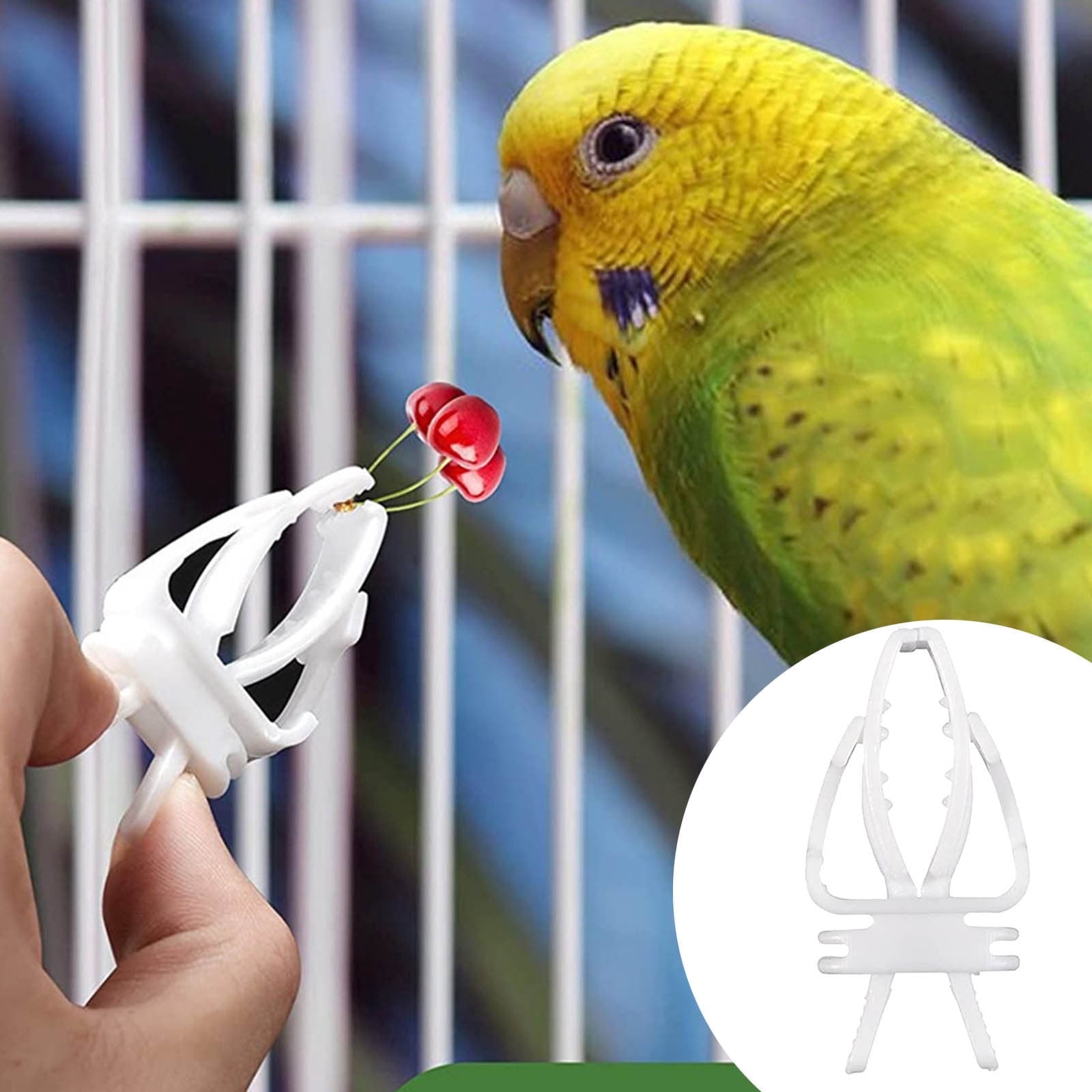 Bird Fruit and Vegetable Holder Feeder Cage Accessory for Parrots Hamsters Small