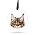 thumbnail image 1 of WIRESTER Large 3 inch Acrylic Ready to Hang Ornament, Hanging Ornaments for Christmas Tree Holidays Party Home Office Xmas Tree Decoration Gift - Animal Black Brown Maine Coon Cat, 1 of 6