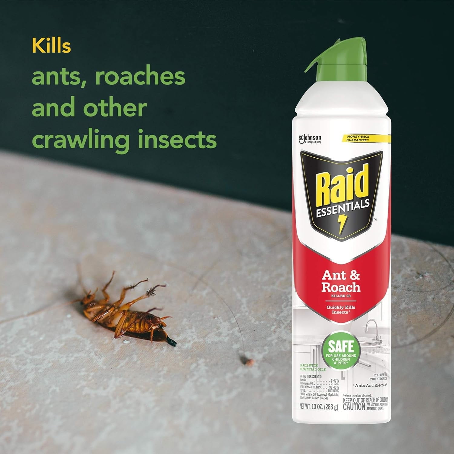 2 Raid Essentials Ant Roach Killer Aerosol Spray Child Pet Safe Kill Insect 10oz