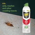 thumbnail image 3 of 4 Raid Essentials Ant Roach Killer Aerosol Spray Child Pet Safe Kill Insect 10oz, 3 of 5