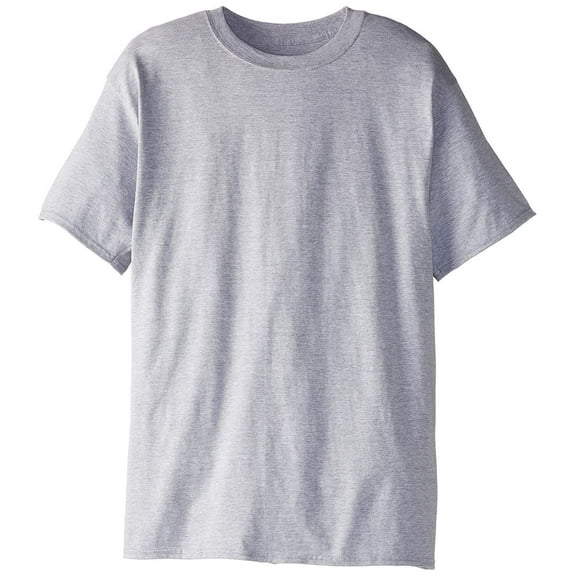 Hanes Men's Beefy-T Tall T-Shirt 2PK_Light Steel_LT Pack of 2