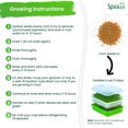 thumbnail image 5 of Nature Jims Sprouts Mezcla De Brotes De Ensalada - Mezcla De Ensalada Orgánica Para Cultivo - Semillas Microverdes Sin Ogm - Brócoli Saludable Alfalfa Rábano Trébol Semillas De Germinación Mezcla Vari, 5 of 5