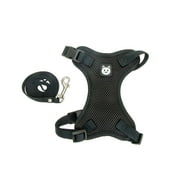 Vibrant Life, Polyester Large Cat Harness and Leash Combo, Black, One Size