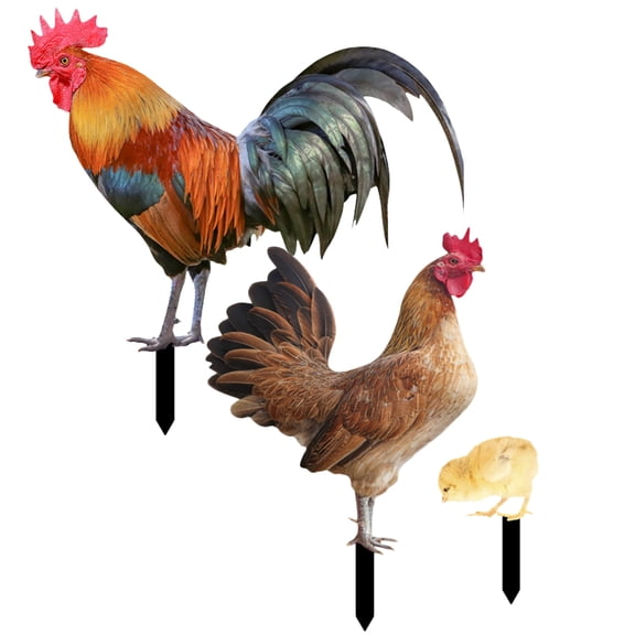 SWETRACE 1Set Durable Acrylic Garden Hen Stake Yard Ornament for Outdoor Adornment