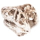 thumbnail image 3 of Modelo de calavera de resina, adorno de calavera de dinosaurio de resina, decoración de calavera, estatua de calavera elaborada por expertos, 3 of 9