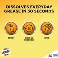 thumbnail image 5 of 1Pack EASY-OFF Fume Free Max Oven Cleaner, Foam, Lemon, 24 oz Aerosol Spray (85260EA), 5 of 7