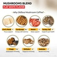 thumbnail image 3 of OLD SOUL Mushroom Flat White Blend | 7-Mushroom Formula | Arabica Coffee | Energy, Focus, Immunity | 14 oz (400 g), 3 of 10