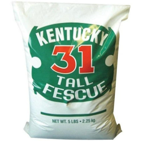 Barenbrug Kentucky 31 Tall Fescue Grass Seed, 5