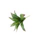 thumbnail image 4 of Decoración Artificial Del Jardín Del Hogar Del Folje Del Folje Del Agave13-Leaf Baoblaze Follaje artificial, 4 of 7