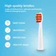 thumbnail image 5 of Cepillo de dientes eléctrico sónico Seago SG507 para adultos, cepillo de dientes con temporizador de 5 modos, recargable por USB, con cabezales de repuesto, 5 of 5