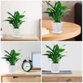thumbnail image 4 of Shisuyan Orchid Planter Transparent Seedling Pots 1Set 4.9X4.9X4.4In, 4 of 7