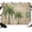 Green, Brown, Beige, variant on 7x5ft Photo Backdrop, Vintage Palm Trees Soft Polyester Backdrop Curtains Photography Backdrops, Summer Botanical Retro Tropical Brushed Background for Photoshoots Studio Video Portrait Parties
