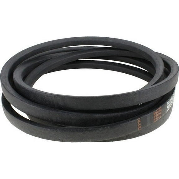 B145: Belt