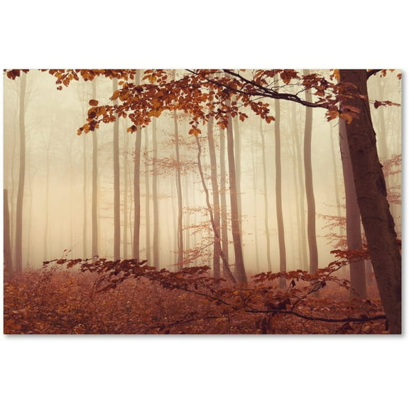 Trademark Fine Art "The Last of Fall" Canvas Art by Philippe Sainte-Laudy