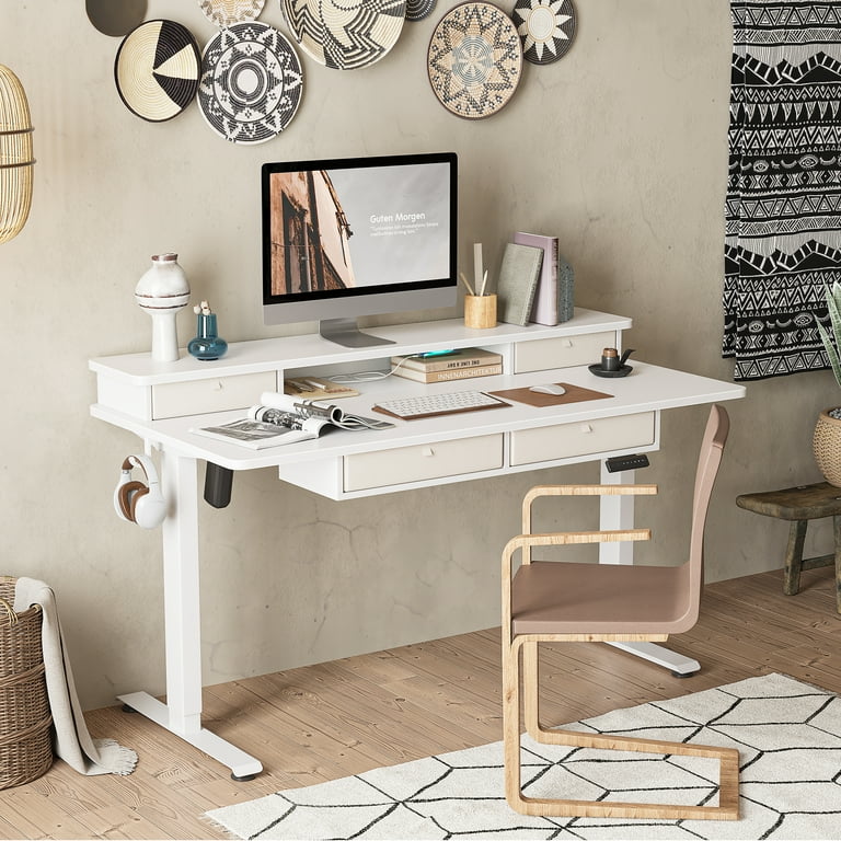 DESINO 48 x 24 Inch Height Adjustable Electric Standing Desk with