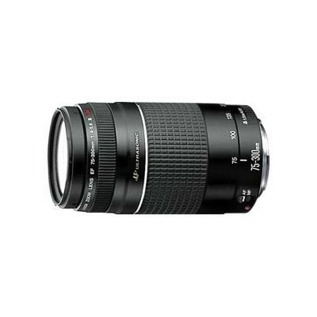 Image of Canon EF - Telephoto zoom lens - 75 mm - 300 mm - f/4.0-5.6 III USM - Canon EF