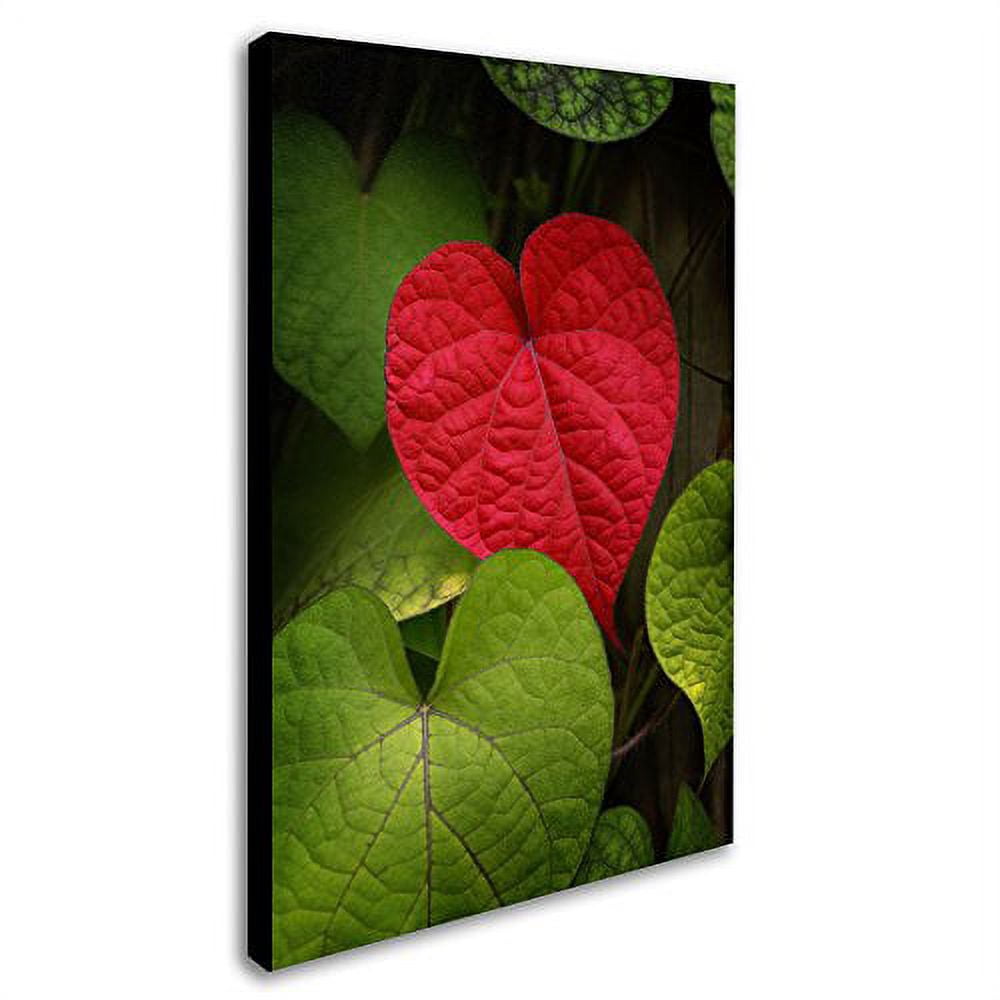 Trademark Fine Art "Heart to Take" Canvas Art by Philippe Sainte-Laudy