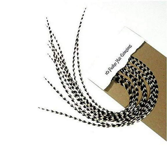 Sexy Sparkles Rainbow Mix Feathers Beautiful Natural Black and White Stripped Grizzly Feathers for Hair Extension Salon Quality -10 Feathers, 7-10 "