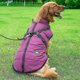 thumbnail image 2 of Large Pet Dog Jacket With Harness Winter Warm Dog Clothes Waterproof Tw,XXL,Purple, 2 of 4