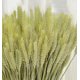 thumbnail image 4 of Paquetes de ramo de tallos de trigo seco, 100 tallos de flores de grano de trigo natural, arreglos de bricolaje para el hogar, boda, tienda decorativa, 4 of 5