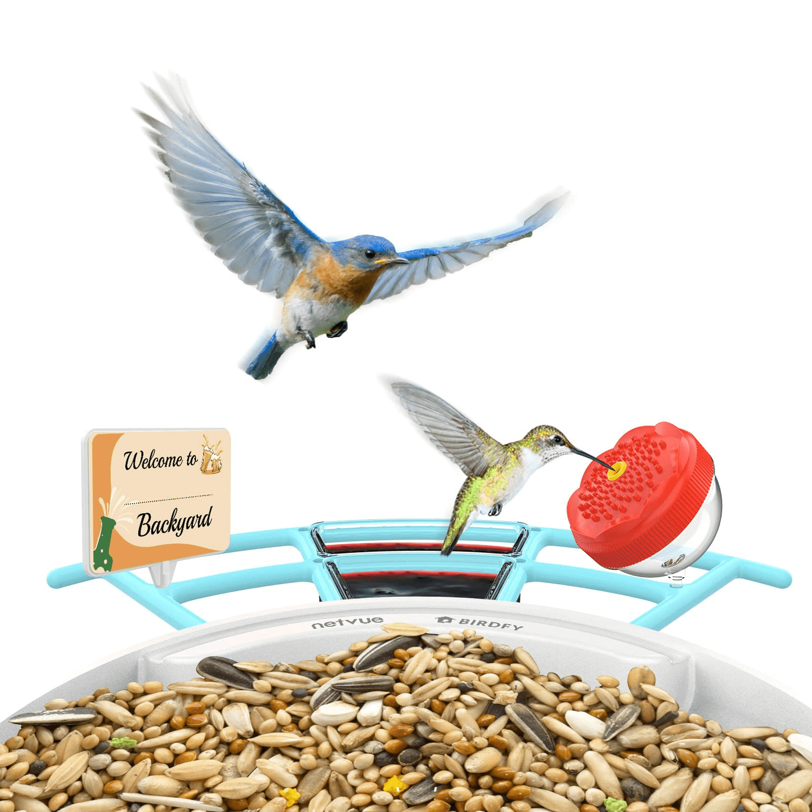 Netvue Birdfy Pro Perch - Wider Extension Perch to DIY Add-ons Including Suet Ball, Mini Hummingbird Feeder, Fruit Holder, Jelly Feeder and Welcome Card, Birds