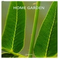 thumbnail image 1 of Fat Ferdy: Home Garden Blanco, 1 of 2