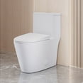 thumbnail image 6 of Dreux One Piece Elongated Dual Flush Toilet with 0.95/1.26 GPF, 6 of 15