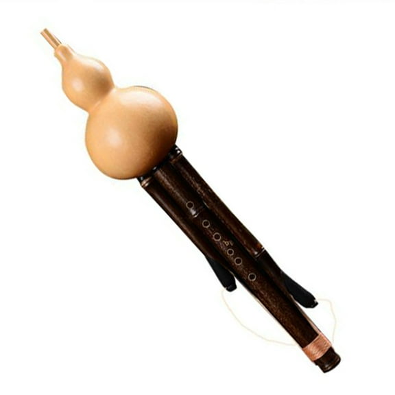 Traditional Chinese Hulusi Flute, Cucurbit Gourd, Handicraft Hulusi Ethnic Musical Instrument with Case for Beginners Music Lovers, Wind Instrument