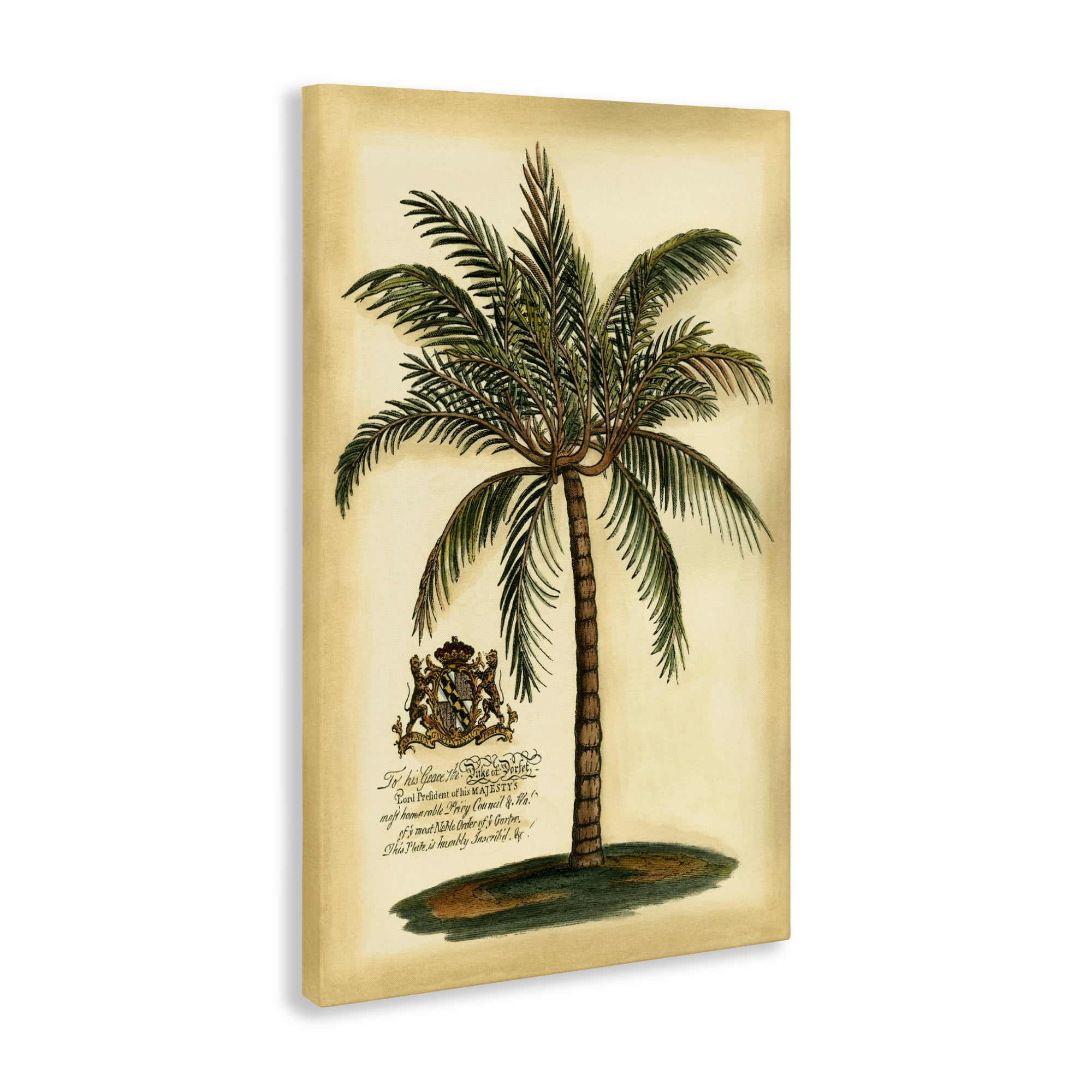 Stupell Industries British Colonial Palm Canvas Wall Art, design by Vision Studio