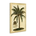 thumbnail image 2 of Stupell Industries French Country British Colonial Palm Canvas Art, 16 x 24, by Vision Studio, 2 of 8