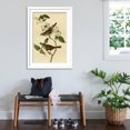 thumbnail image 3 of Art.com White Throated Finch Art Print by John James Audubon, White Frame Wall Art, 32" x 44", 3 of 5