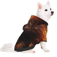 thumbnail image 2 of Balery Cool Fire Lion Sudadera con Capucha para Perros Pequeños – Ropa para Mascotas, Disfraz para Perros y Gatos, Ideal para Fiestas y Cosplay-Medium, 2 of 7