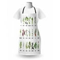 thumbnail image 3 of Herb Apron, Natural Treatment Infographic Scheme with Healthy Plants and Names Herbalism Themed, Unisex Kitchen Bib with Adjustable Neck for Cooking Gardening, Adult Size, Multicolor, by Ambesonne, 3 of 4