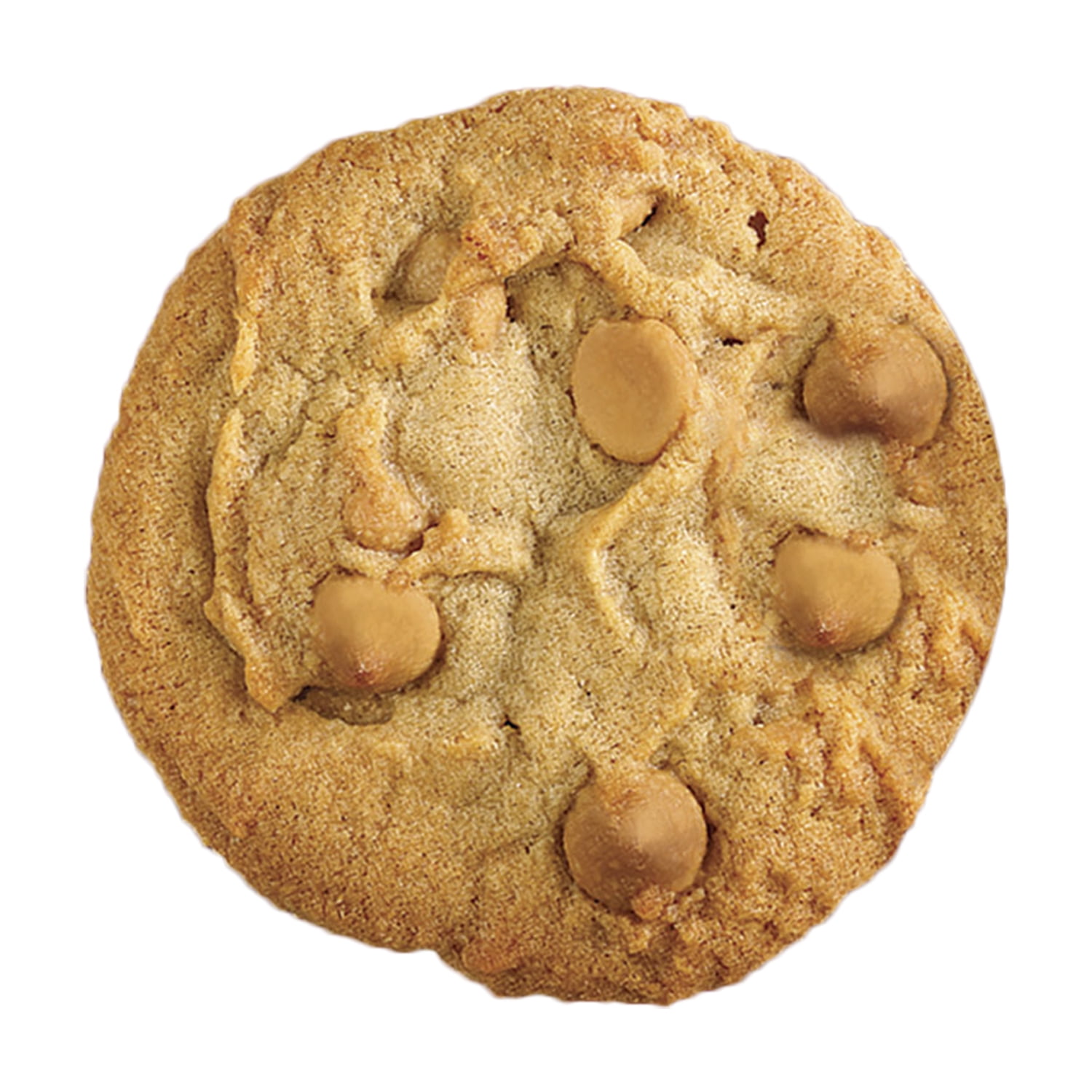 Davids Peanut Butter Cookie Dough 1oz (PACK OF 240)