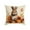 I, variant on Darzheoy Spring Bunny Throw Pillow Covers 18x18 inch Rabbit Spring Decorative Pillows Case Soft Cushion Covers for Couch Sofa Patio Garden Spring Decor