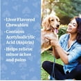 thumbnail image 4 of PetArmor Aspirin Chewable Tablets for Dogs, SM 75ct, 4 of 8