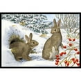 thumbnail image 1 of Carolines Treasures ASA2181MAT Winter Rabbits Indoor or Outdoor Mat- 18 x 27, 1 of 4