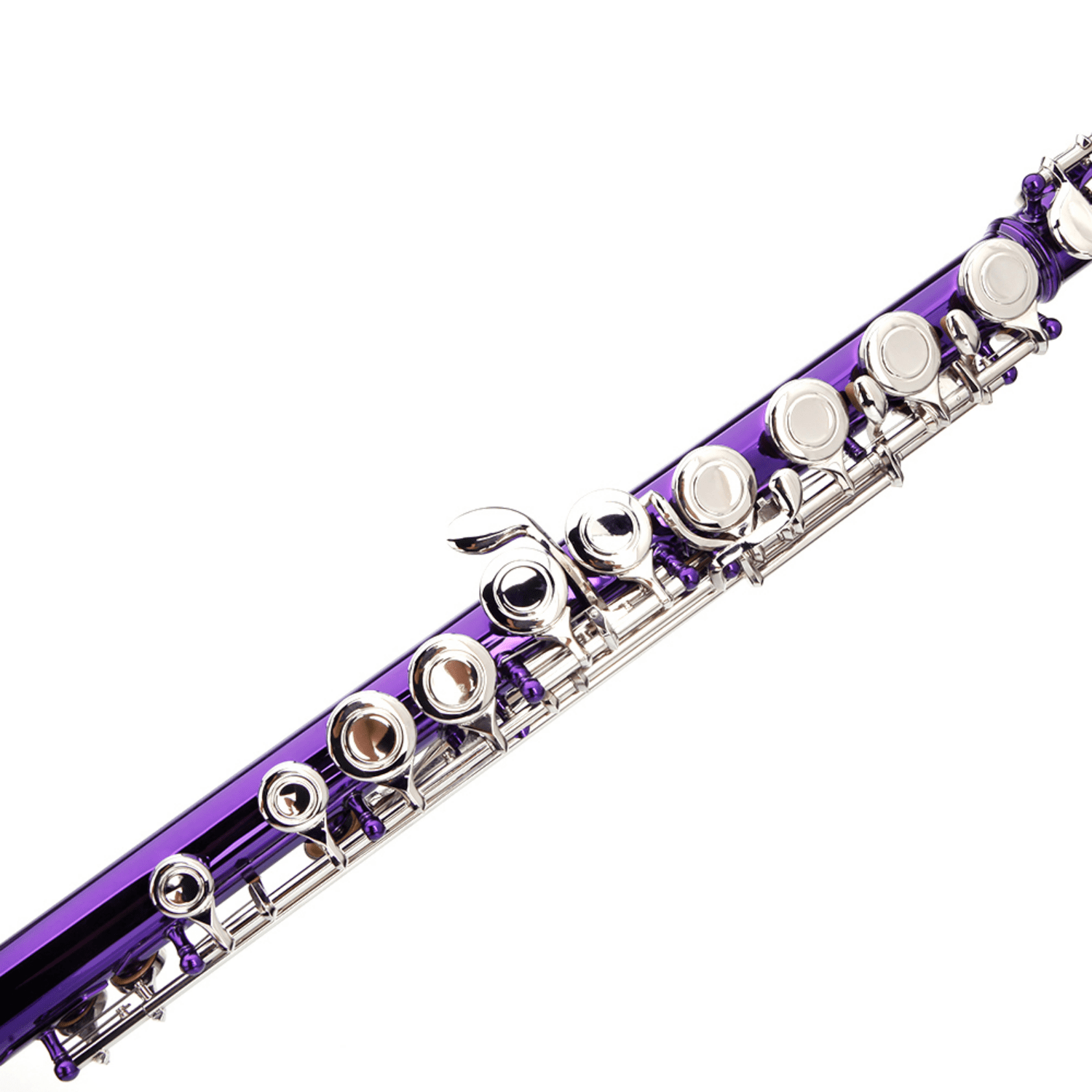 Hassch C Flute 16 Closed Hole for Beginners with Case, Cloth, Screwdriver, Lubricant and Cleaning Rod, Purple