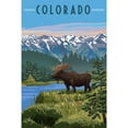 thumbnail image 2 of Colorado, Moose, Summer Scene, 2 of 2
