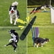 thumbnail image 2 of Silbato para perros para que dejen de ladrar los vecinos Silbato silencioso ajustable para perros Silbatos de adiestramiento para perros con cordón, 2 of 4