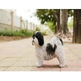 thumbnail image 3 of BLACK & WHITE STANDING SHIH TZU, 3 of 4
