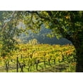 thumbnail image 2 of Eggers, Julie 14x12 Gold Ornate Wood Framed with Double Matting Museum Art Print Titled - Italy-Chianti Vineyard in autumn in the Chianti region of Tuscany, 2 of 4